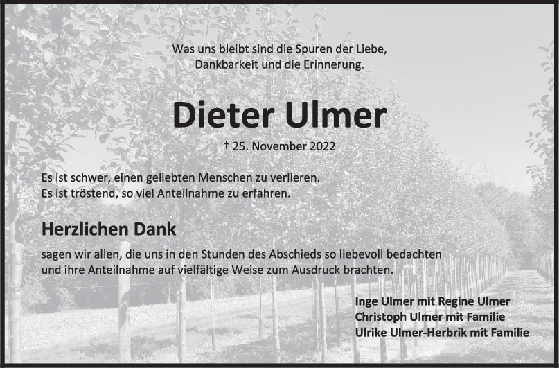 Danksagung Dieter Ulmer <br><p style=